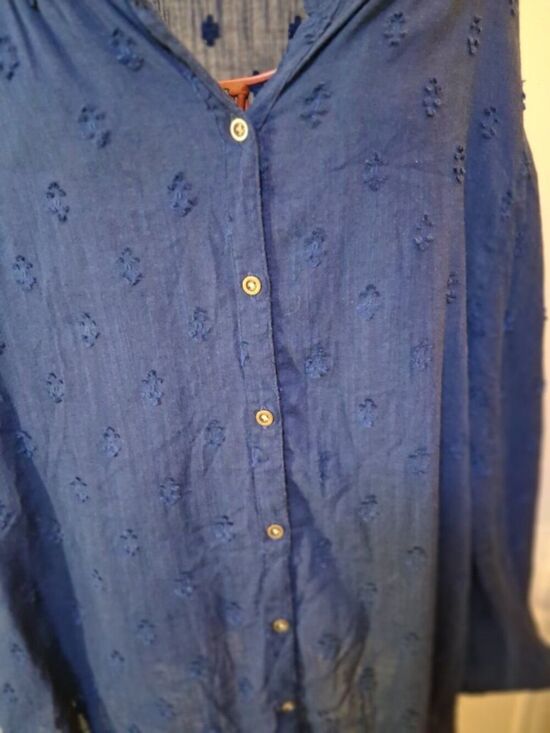 a.n.a Tops - a.n.a Blue Balloon Sleeve Embroidered Button Down Blouse Boho Peasant Top
